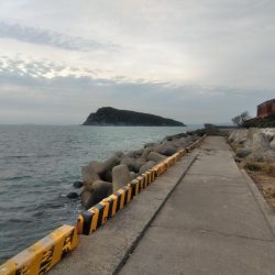 今年も3度目の太刀魚へ・・